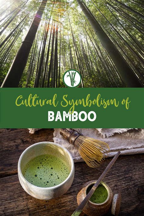 Bamboo Symbolism Decoded: Unveiling Hidden Meanings