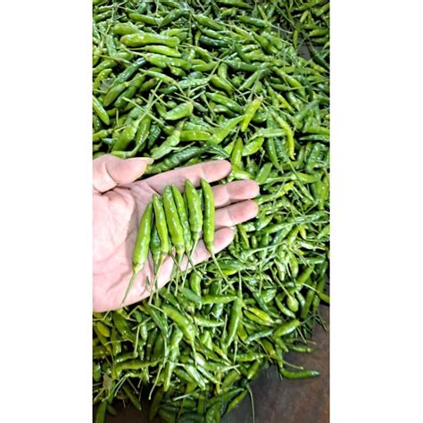 Jual Cabe Rawit Ijo Gram Shopee Indonesia