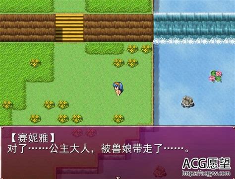 【rpg】传爱丽丝公主恋爱的女骑士赛妮雅精翻汉化版 Acg愿望