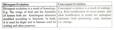 Convergent Evolution Vs Divergent Evolution