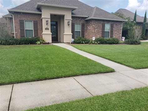 centipede-sod-installation-baton-rouge-sod-denham-springs-prairieville ...