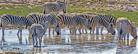 Namibia Il Viandante