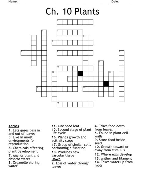 Ch 10 Plants Crossword Wordmint