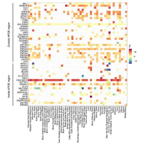 Heatmap Of The Z Score Effect Directions For Significant Genes Download Scientific Diagram