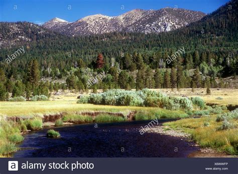 Hope Valley Wildlife Area High Resolution Stock Photography and Images ...