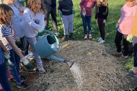 Retour Sur Le Potager En Lasagne D Echenoz France Nature