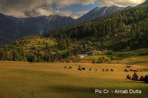 untouched gem  himachal pradesh shangarh sainj valley