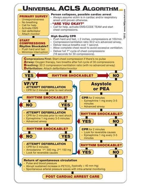 Aha Acls Algorithm Cheat Sheet Hot Sex Picture