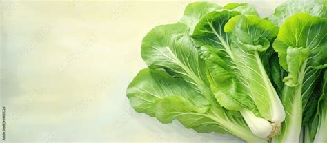 bok choy  pak choi  isolated pastel background copy space en