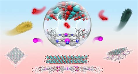 纳米人 Jacs：二维mof用于对牙周炎进行光动力离子治疗