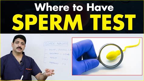 Where To Have Sperm Test Tips To Diagnose Low Sperm Count Dr