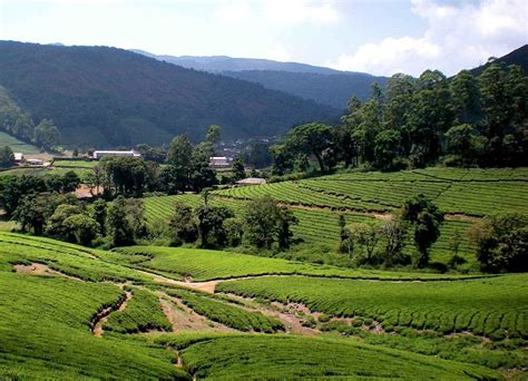 16 Places to Visit in Meghamalai - WORLD TOUR