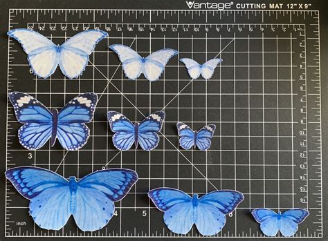 Wafer Paper 9 Mixed Edible Butterflies — The Cookiemonger Edible