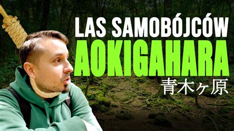 Las Samobójców Aokigahara w Japonii YouTube