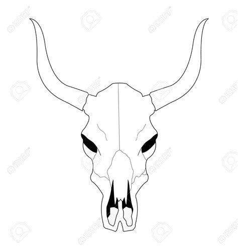 Cow Skull Clip Art 20 Free Cliparts Download Images On Clipground 2024