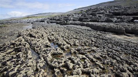 Types Of Weathering Coastal Processes AQA GCSE Geography Revision