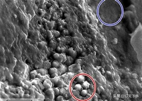 從外太空傳回的照片證明：火星或有生命存在！！ 每日頭條