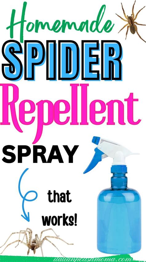 Natural Homemade Spider Repellent Spiders Repellent Spider Spray