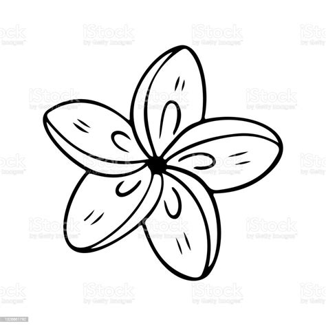 Plumeria Blume Umriss Frangipani Linie Kunst Vektorillustration