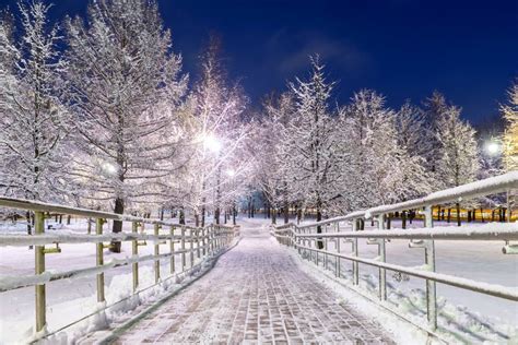 Walkway Through A Snowy Winter Park Stock Photo Image Of Sunrise