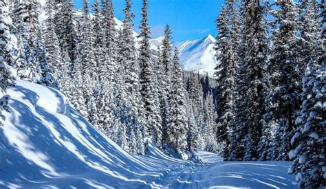 A Guide to Yoho National Park in Winter | Hike Bike Travel