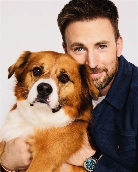 Pin By Kimberly Kimberlydyan On Chris Evans Chris Evans Chris