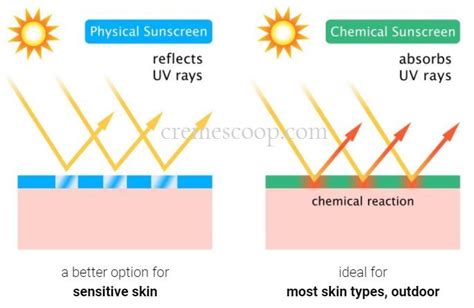 Difference Between Chemical And Physical Sunscreens Japanese Beauty