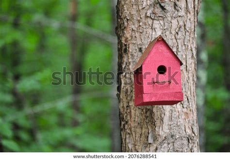 Red Bird House Forest Stock Photo 2076288541 | Shutterstock