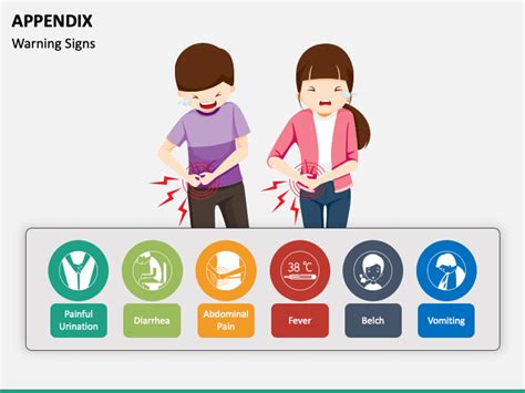 inflammation   appendix