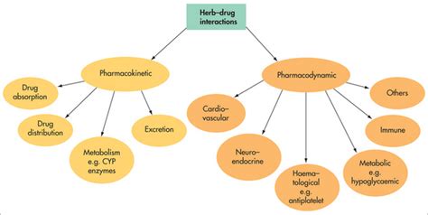 Herbdrug Interactions Basicmedical Key