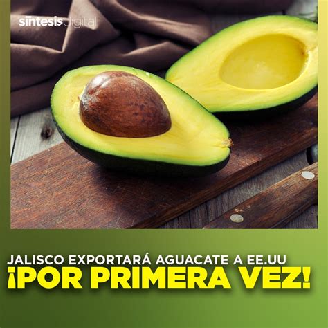 🗣️ L Luego De Recibir La Autorización Para Exportar Aguacates 🥑 A Ee