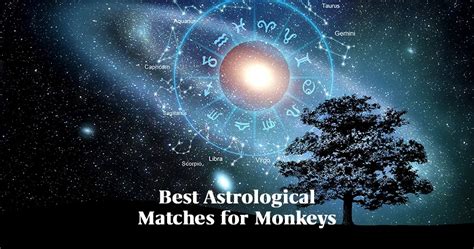 Best Zodiac Matches for Year of the Monkey | Mysticsense