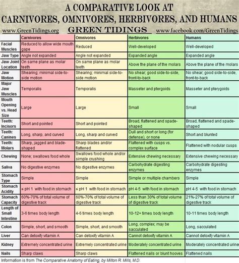 Carnivores vs. Omnivores vs. Herbivores vs. Humans : vegan