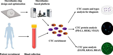 Frontiers Development And Clinical Validation Of A Microfluidic Based