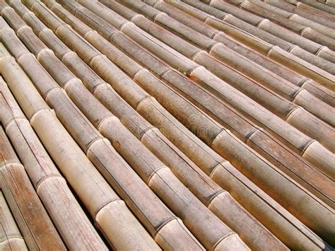 Bamboo floor stock image. Image of abstract, grain, material - 6554595