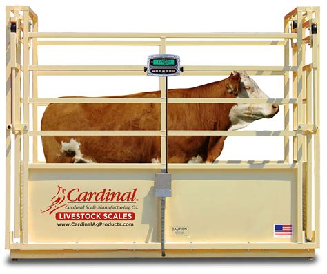 Cardinal Sls Single Animal Livestock Scales Industrial Scale Inc