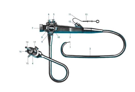 An Insight Into The Diagram Of A Flexible Endoscope