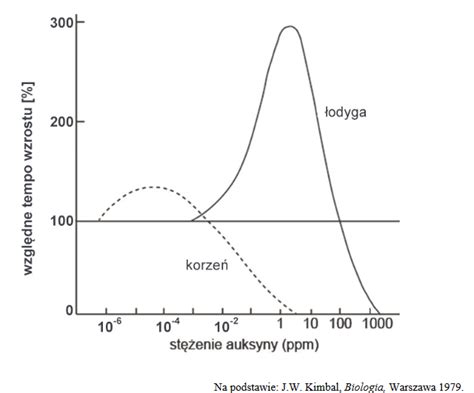 Na Wykresie Przedstawiono Wp Yw St Enia Auksyny Na Wzrost Korzenia I