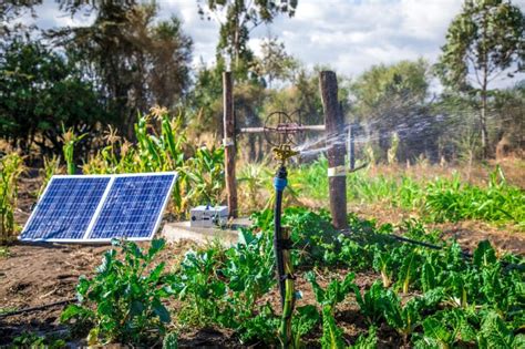 Solar-Powered Irrigation System Inaugurated By UDS, GIZ | News Ghana