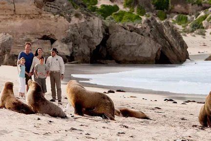 Best Kangaroo Island Tours Australia