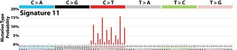 Cosmic Signatures Of Mutational Processes In Human Cancer