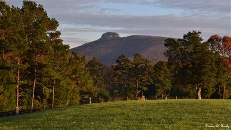 Ole Carolina: Mount Pilot