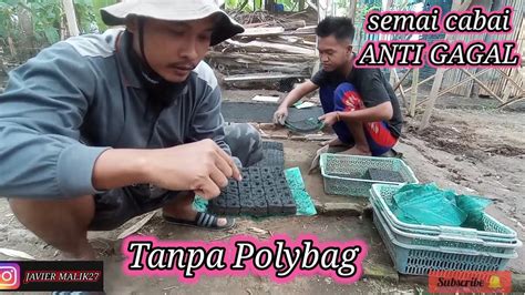 Soil Block Seedling Cara Semai Cabai Yang Benar Anti Gagal Cepat