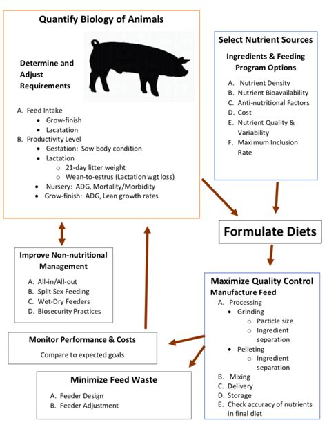 Formulating Farm Specific Swine Diets Complete Swine News Markets Commentary