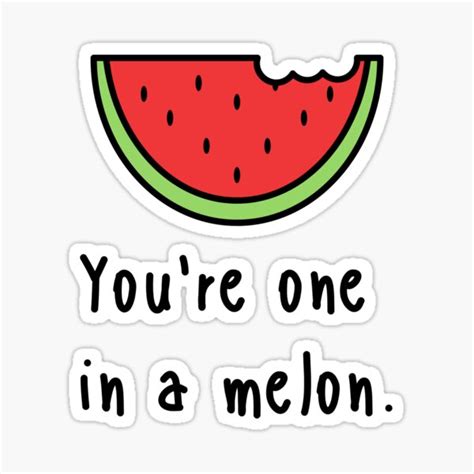 Youre One In A Melon Sticker For Sale By Somebasic Redbubble