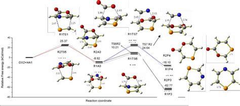 Schematic Free Energy Profile Of Oxz Ha1 Reaction Computed At