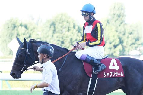 【札幌記念】ダービー馬には鬼門？シャフリヤールは5着 初コンビ武豊は当レース「9勝目」ならず東スポ競馬 Goo ニュース