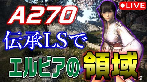 【黒い砂漠】a270の伝承リトルサマナーでエルビアビラーギに挑戦する配信 Youtube