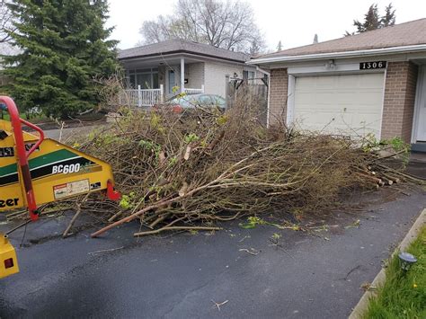 Chip It Guy Brush Chipping And Stump Grinding 12459 Sixth Line