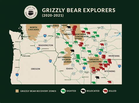 Explorer Bears Save The Yellowstone Grizzly